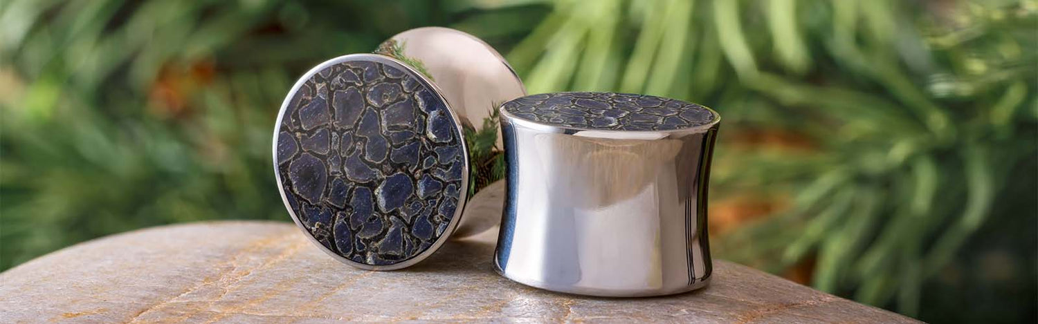 Unique Plug Earrings
