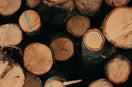 Lumber Pile