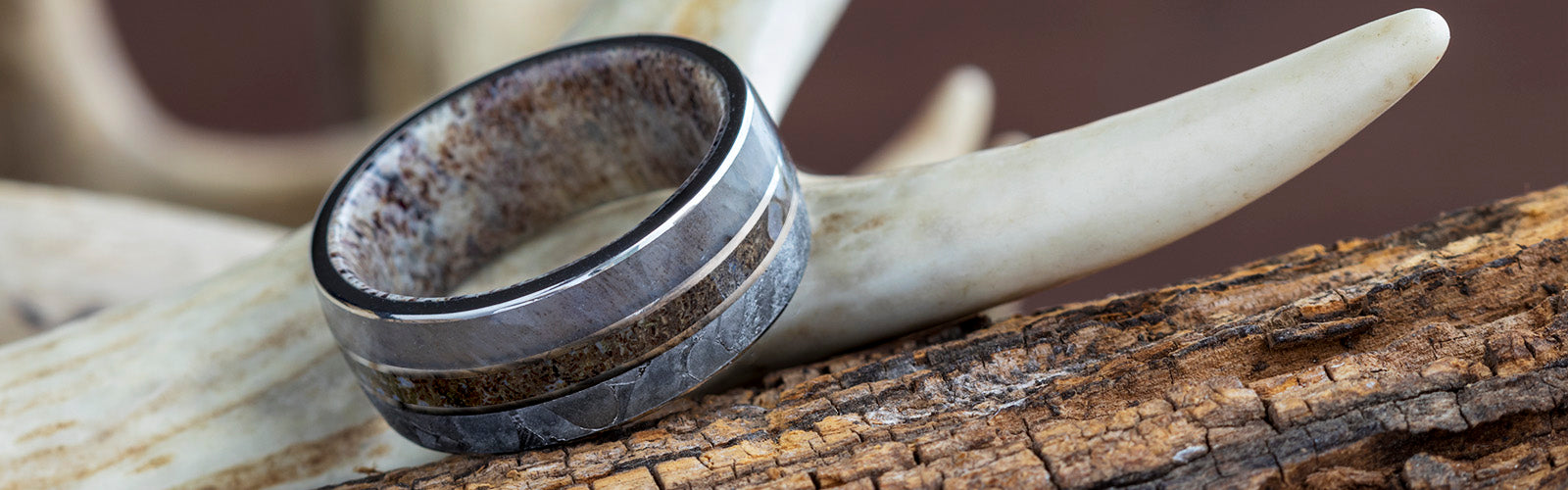 Custom Ring With Antler Inside from Jewelry by Johan