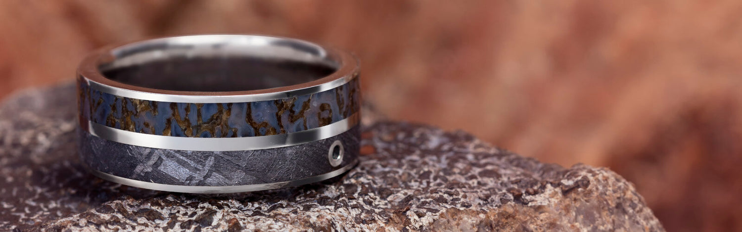 Platinum Meteorite and Dinosaur Bone Ring