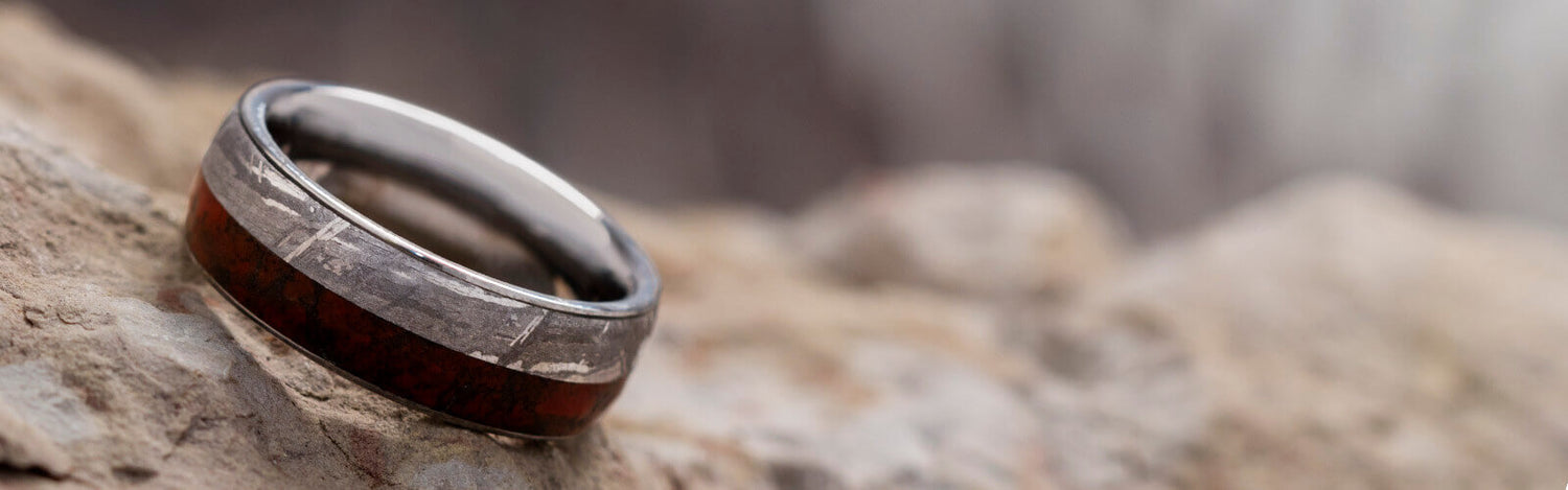 Tungsten Dinosaur Bone Ring with Meteorite
