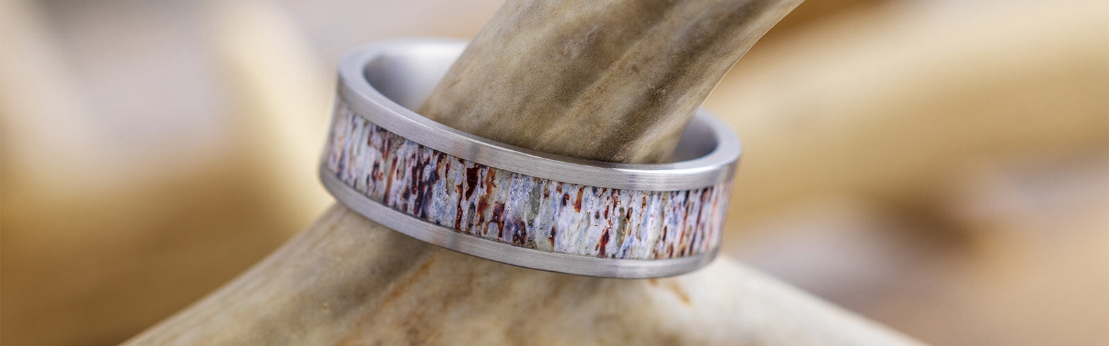 Deer Antler and Gibeon Meteorite Men's Titanium Band