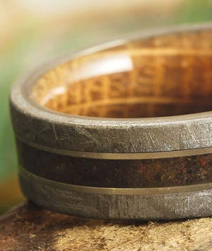 Meteorite Rings for Men
