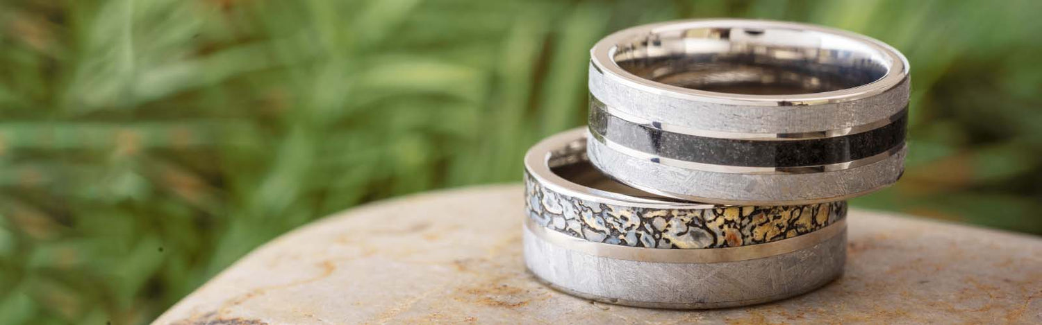 Meteorite and Dinosaur Bone Rings