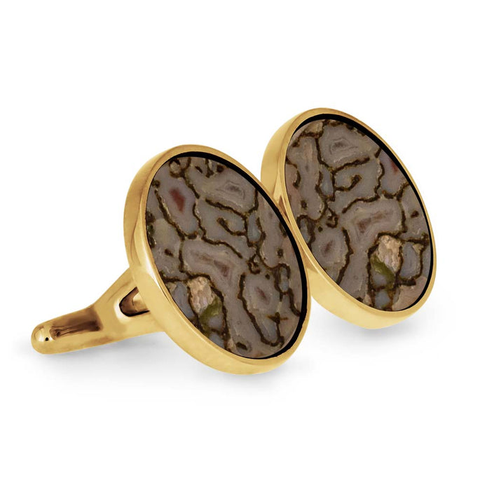 Unique Cuff Links for Men with Dino Bone Fossil Inlays