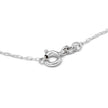 Close-up of a silver necklace clasp on a white background