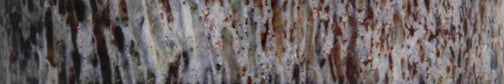 Antler used in ring close up image of material