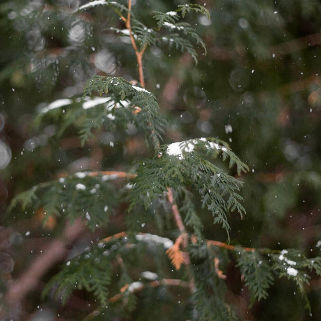 Camo patterns to be used for jewelry