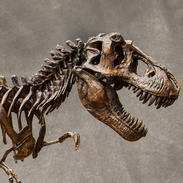 Dinosaur Bone to be used for Jewelry - Gembone Jewelry