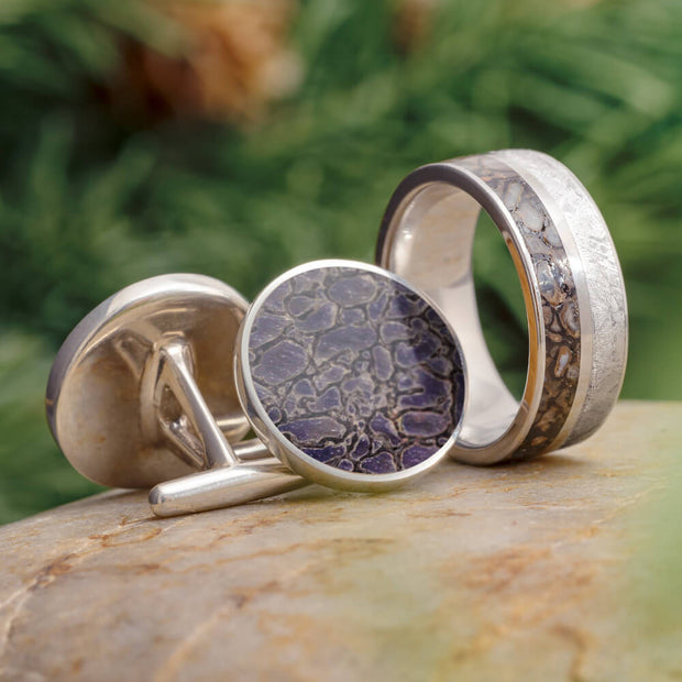 Meteorite and Dino Bone Gift Set