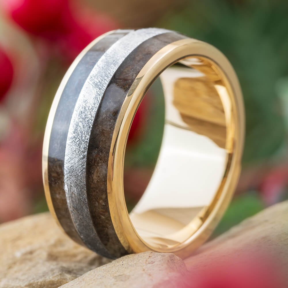 Meteorite and Fossil Ring