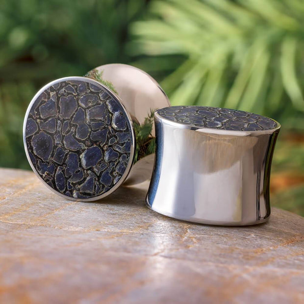 Dinosaur Bone Ear Plugs