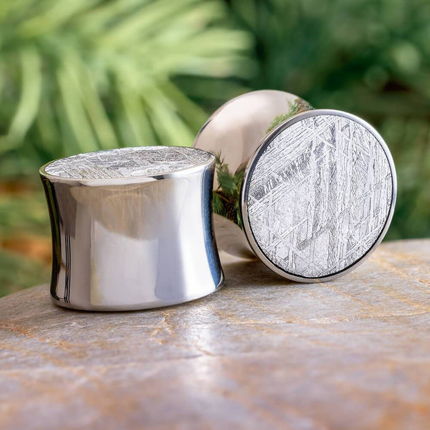 Meteorite Plug Earrings / Gauges