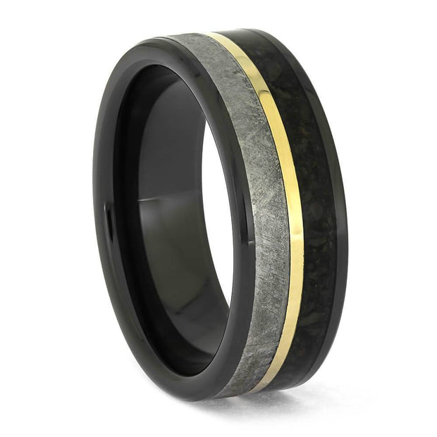 Men's Wedding Band with Meteorite and Dino Bone