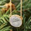 Gold necklace with a round meteorite pendant on a green leafy background