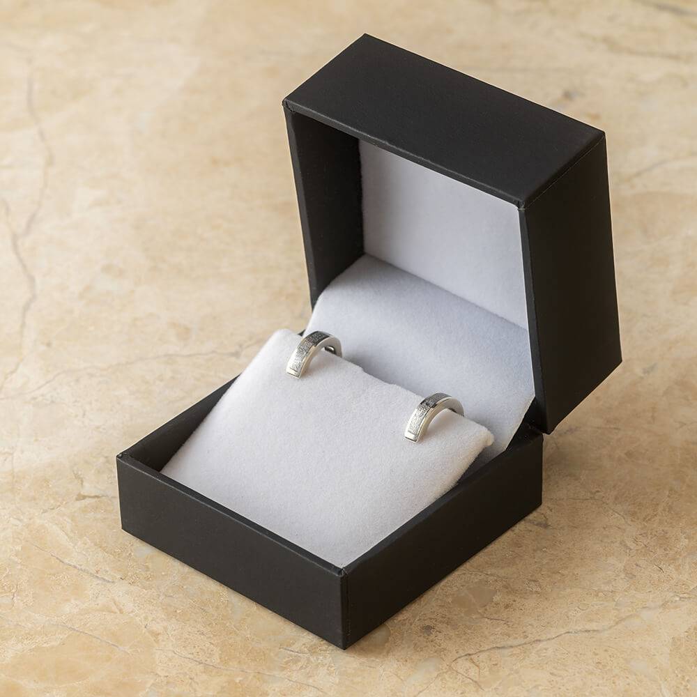 Meteorite Earrings In Box