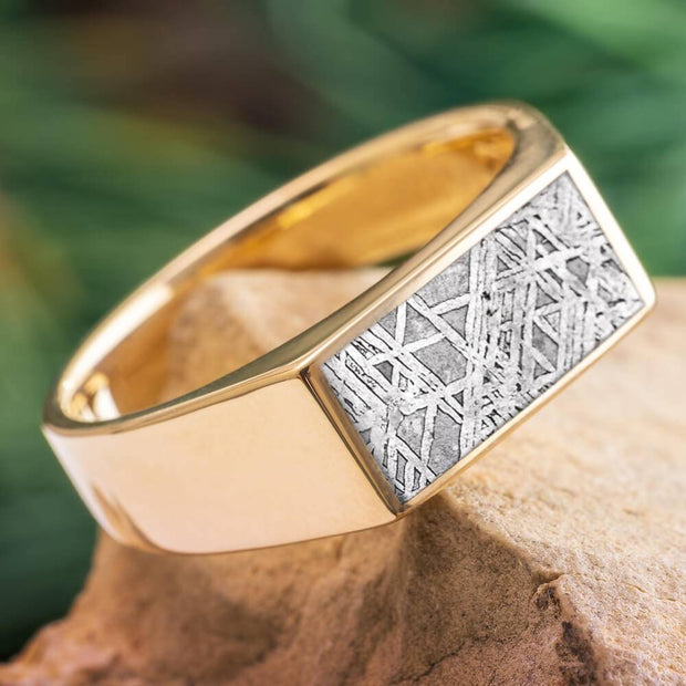 Meteorite Signet Ring