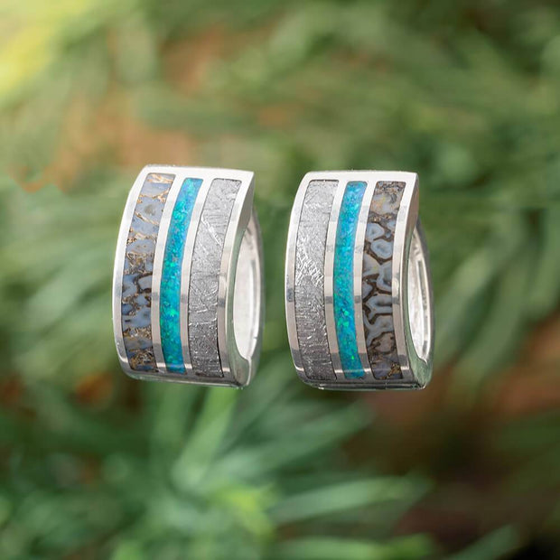 Gibeon Meteorite Huggie Earrings