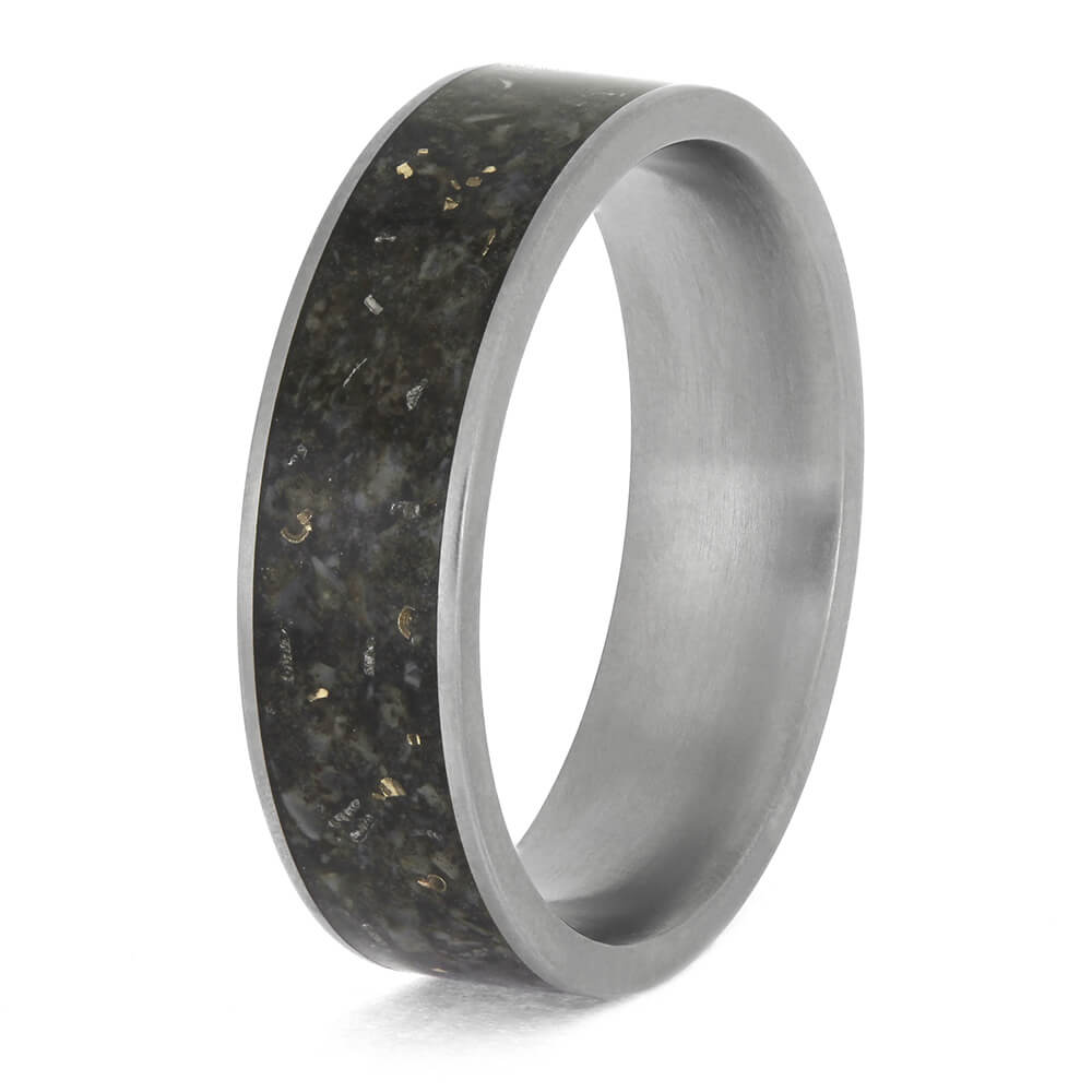 Meteorite and Dino Bone Wedding Band