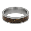 Silver ring with a brown inlay on a white background