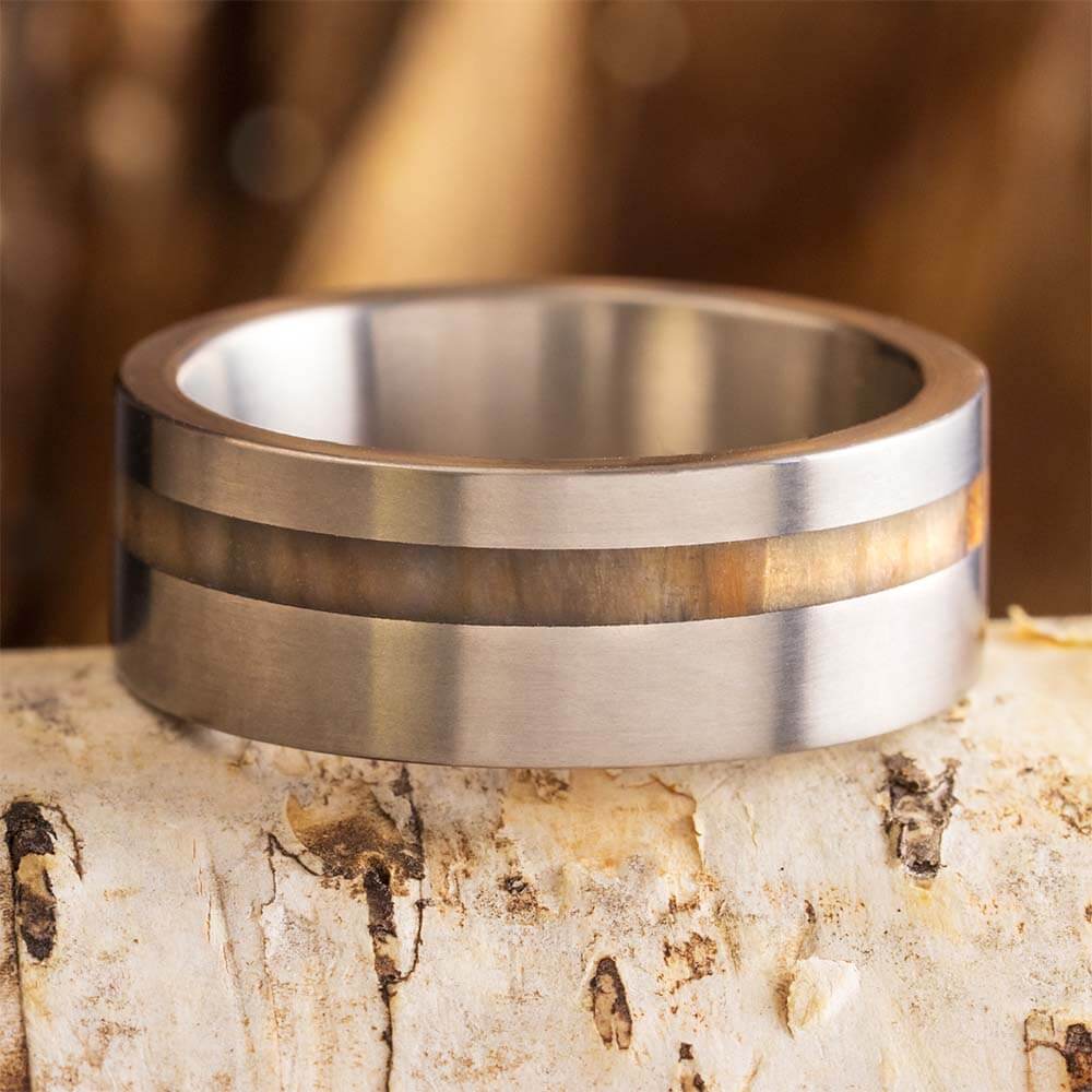 Ancient Titanium Wedding Band with Petrified Wood