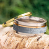 Meteorite and Interchangeable Gold Ring