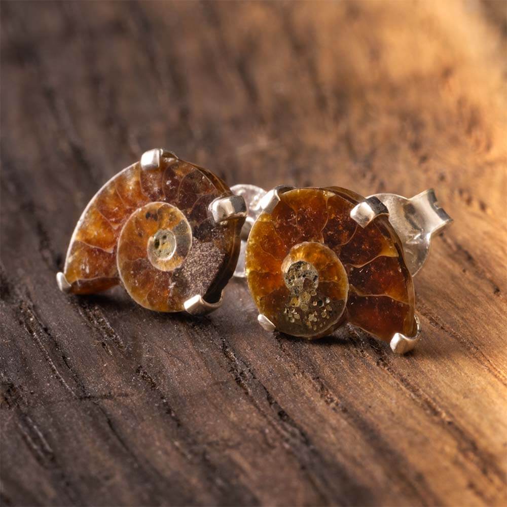 Ammonite Stud Earrings