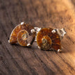Ammonite Stud Earrings