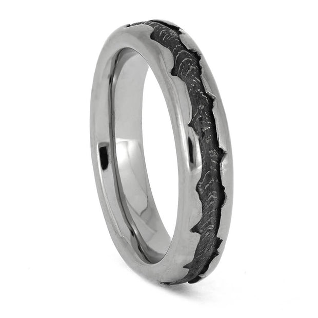 Titanium and Meteorite Wedding Band