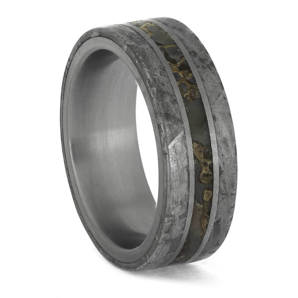 Titanium ring with genuine meteorite and dinosaur bone