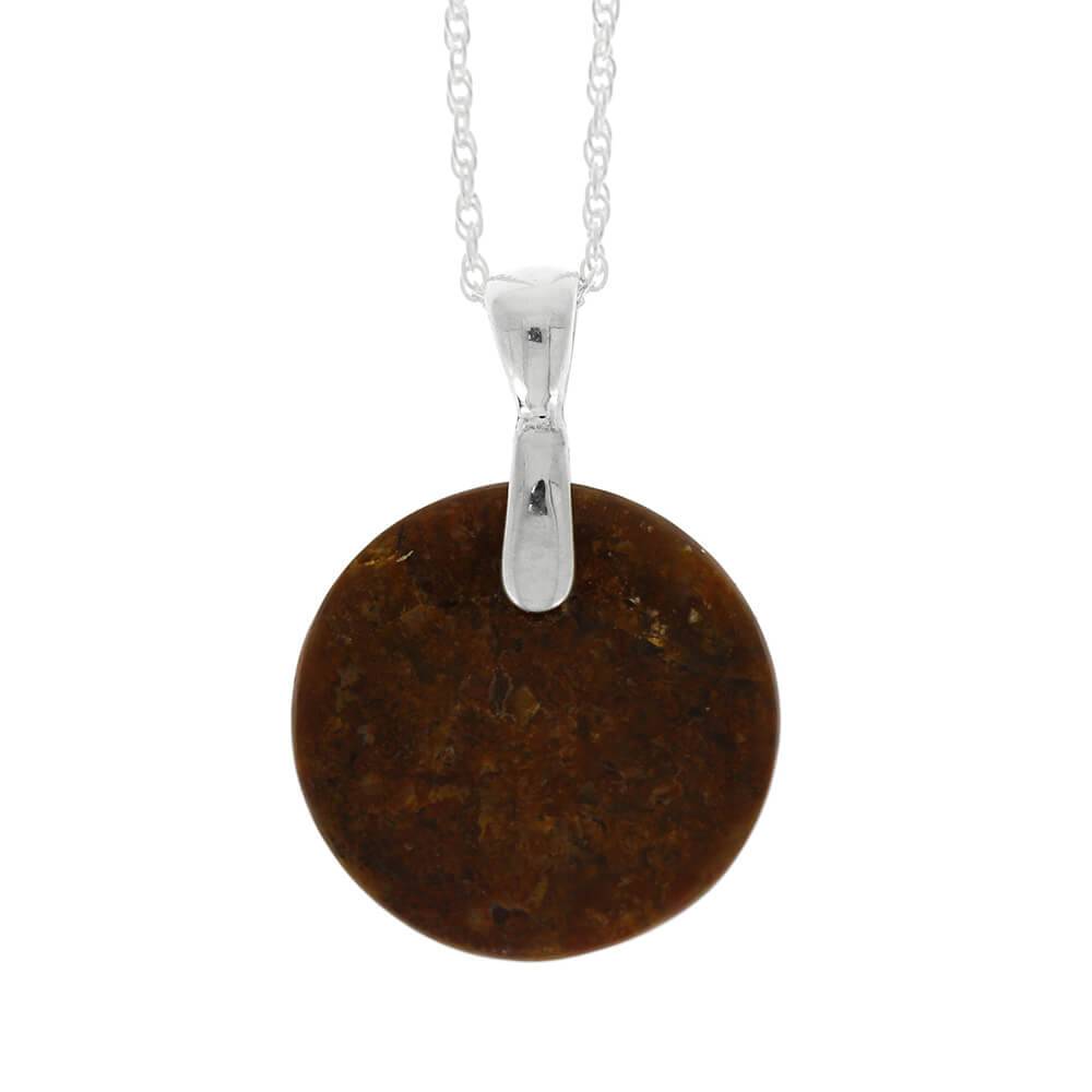Petrified Wood Necklace 5