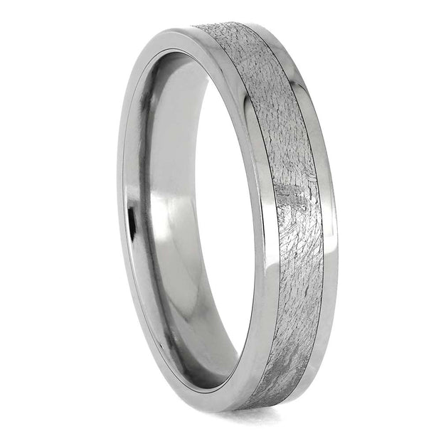 Meteorite and Titanium Wedding Band