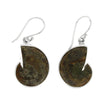 Fossil Earrings