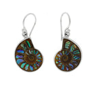 Colorful Ammonite Earrings