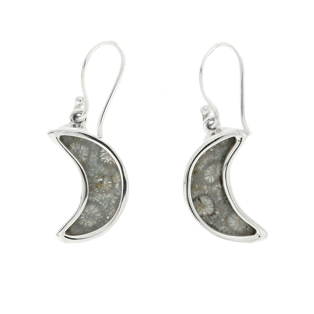 Crescent Moon Earring Set