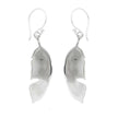 Feather Shaped Dangle Earrings