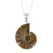 Fossilized Ammonite Necklace