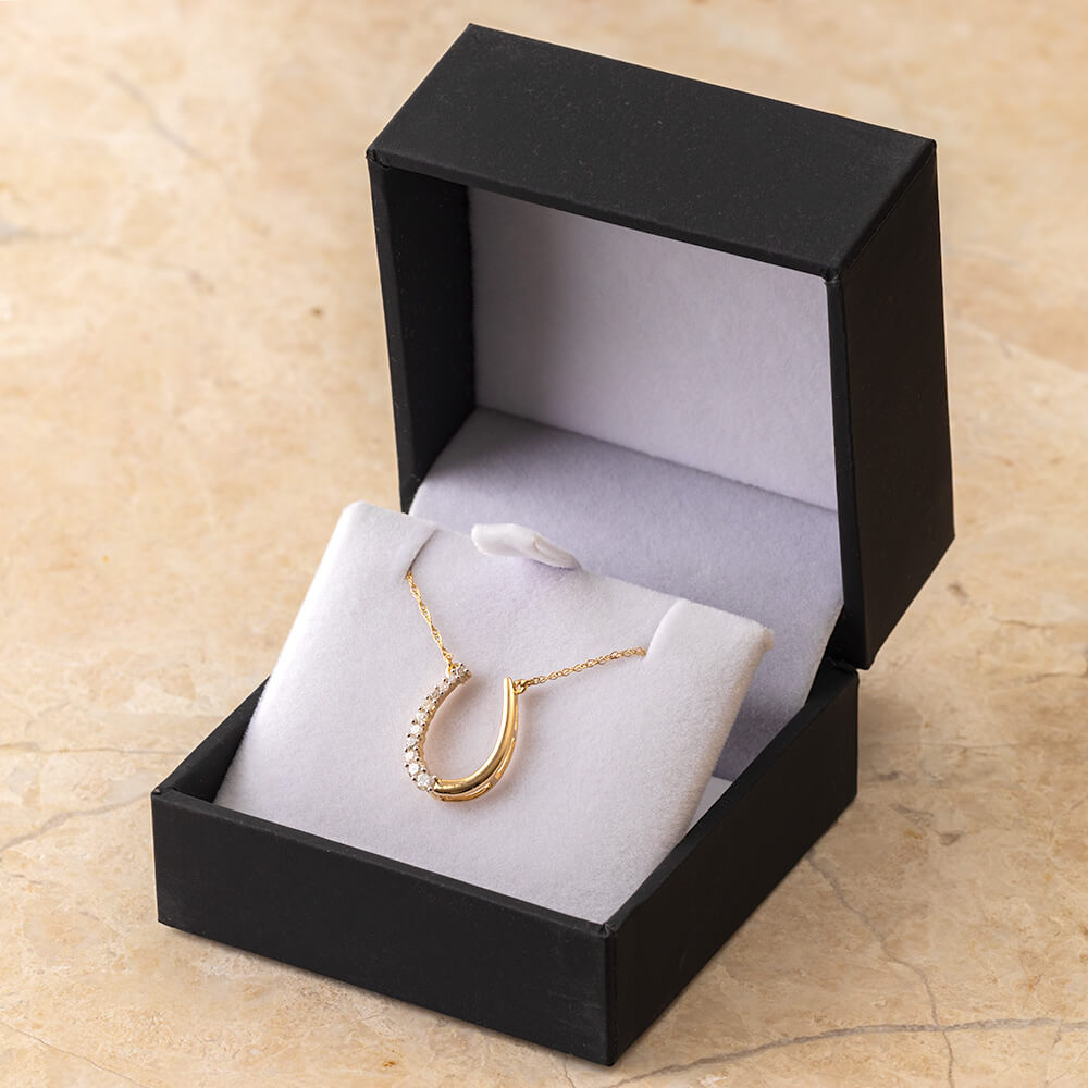 Horseshoe Necklace