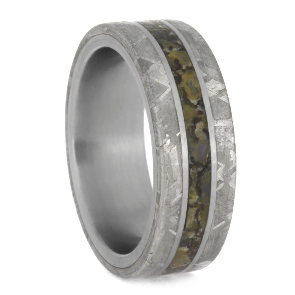 Meteorite and Dinosaur Bone Wedding Band