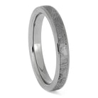 Meteorite and Titanium Wedding Band