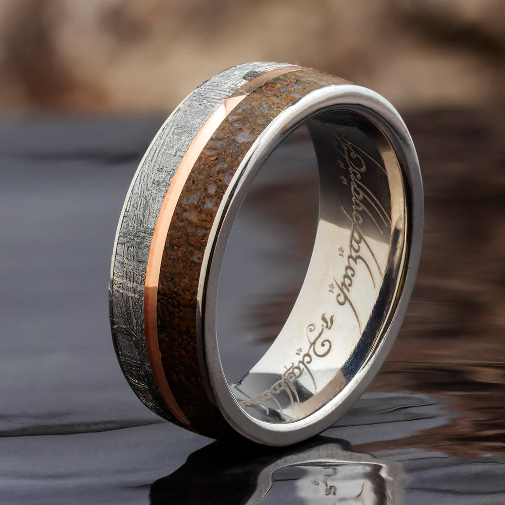Rose Gold Pinstripe on Meteorite & Dino Bone Ring