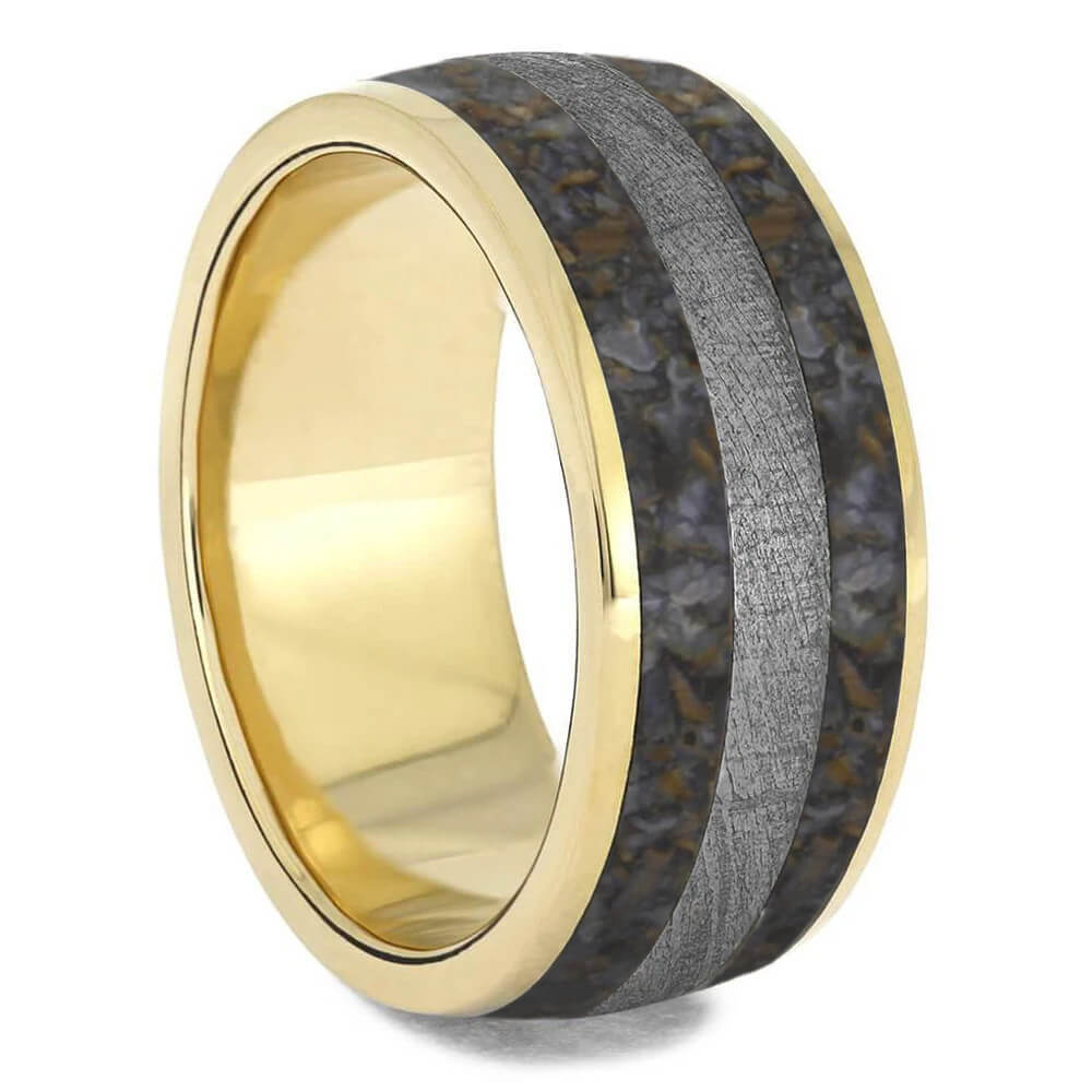 Meteorite and Dinosaur Bone Ring