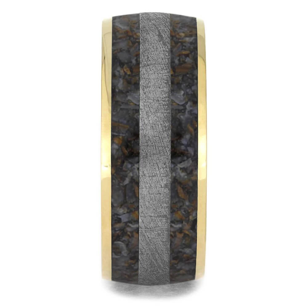 Meteorite with Dinosaur Bone