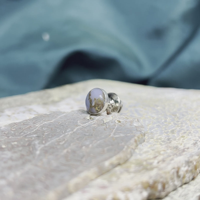 Dinosaur Bone Meteorite Tie