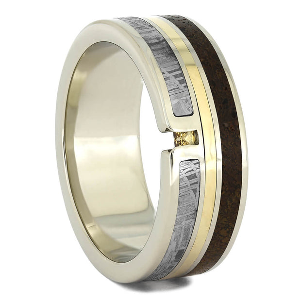 Dinosaur and Meteorite Wedding Band in White Gold