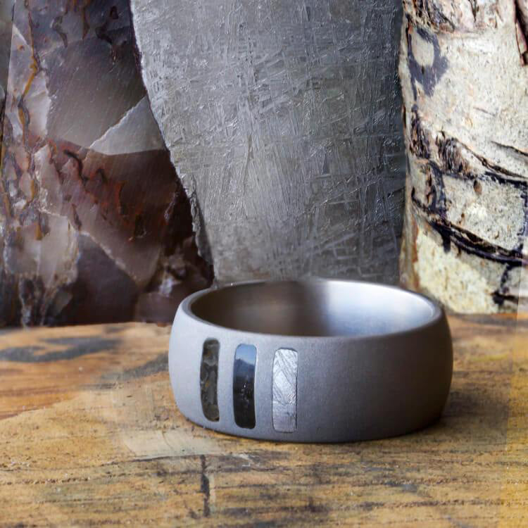 Sandblasted Titanium Ring With Meteorite, Dino Bone, And Blackwood-2455 - Jewelry by Johan