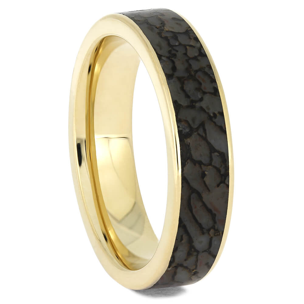 Yellow Gold and Dinosaur Bone Rings