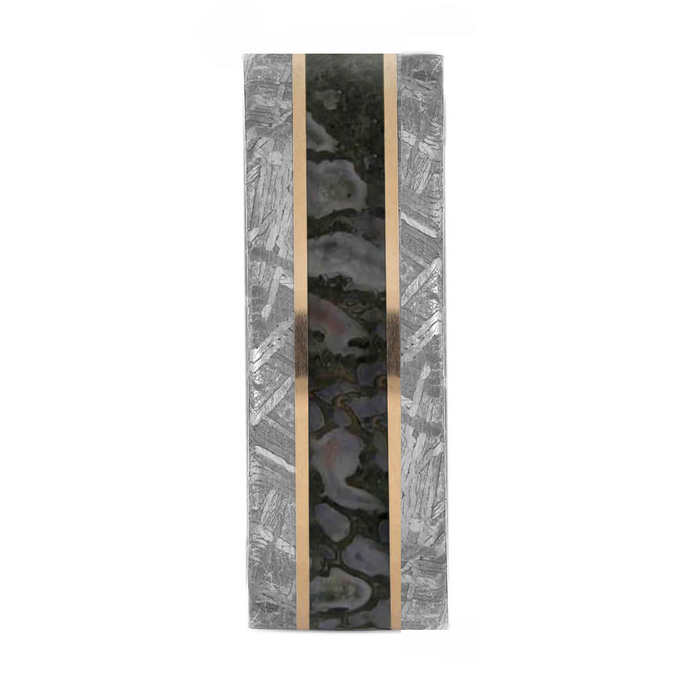 Dinosaur Bone & Meteorite Wedding Band With Gold Pinstripes