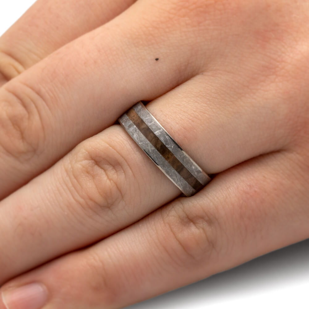 Petrified Wood Men's Ring With Gibeon Meteorite In Titanium-3110 - Jewelry by Johan
