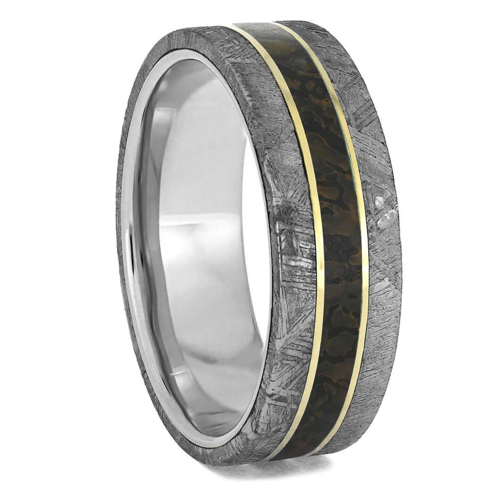 Dinosaur Bone & Meteorite Ring With Pinstripes of Gold